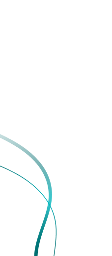 Left Decorative Shape